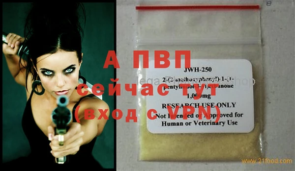 ECSTASY Гусев