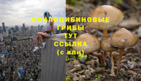 каннабис Гусиноозёрск