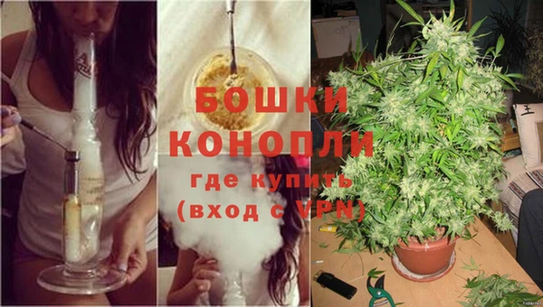 марки nbome Гусь-Хрустальный