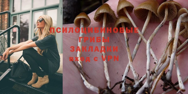 ECSTASY Гусев