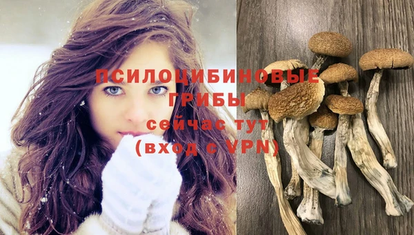 ECSTASY Гусев