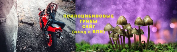 каннабис Гусиноозёрск