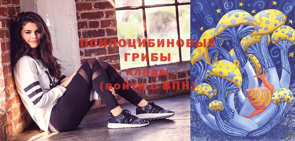 ECSTASY Гусев