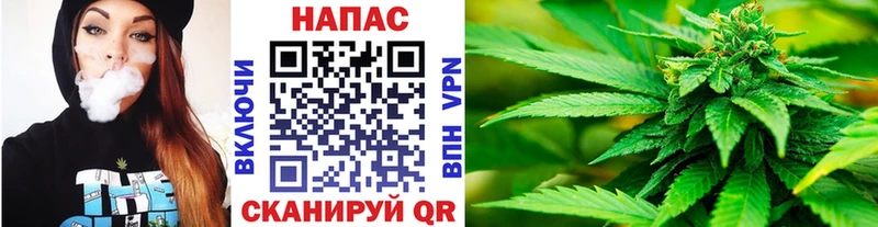 Купить закладки  Камышлов  Каннабис конопля 